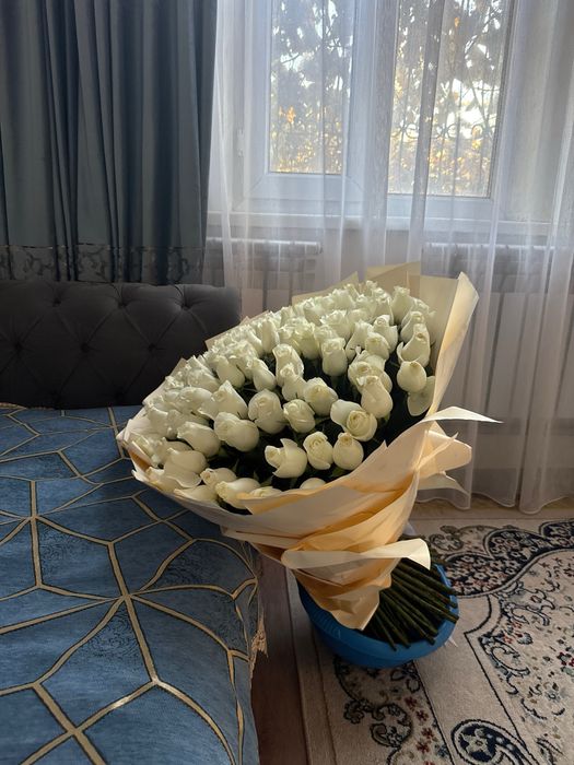 Продам метровые белые розы