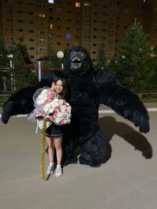 КИНГ Конг/Конг/БЕЛЫЙ Мишка/УМКА/Мишки Тедди/Аниматоры/Поздравление