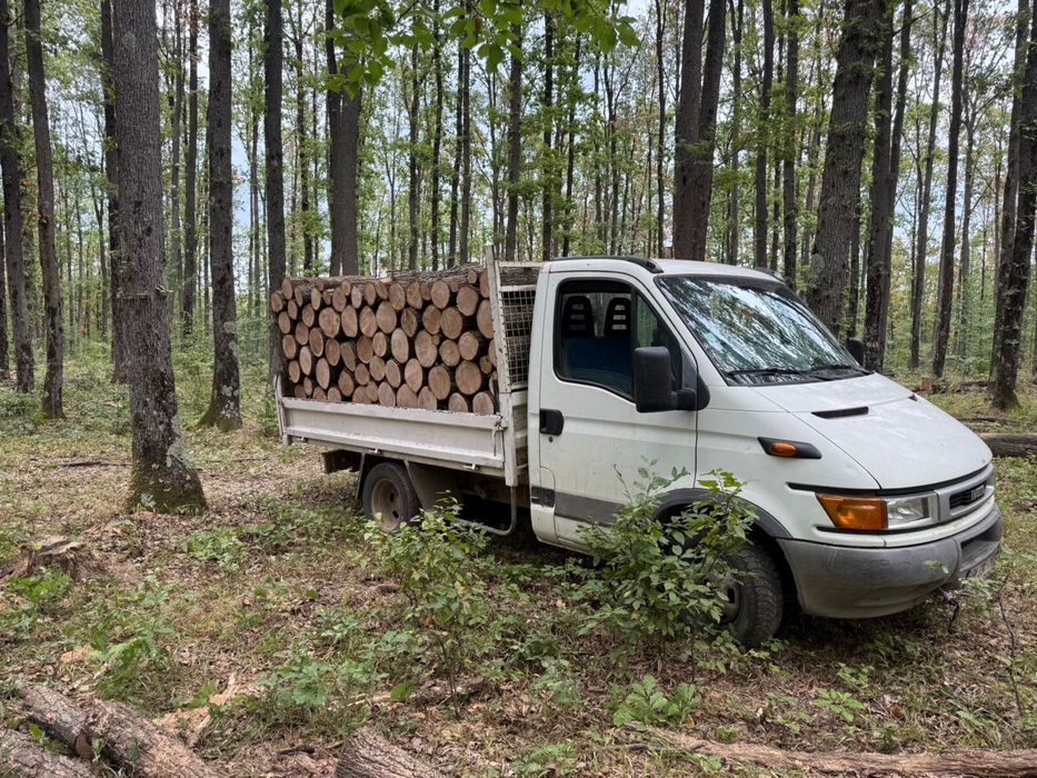 Vând lemne de foc esență tare