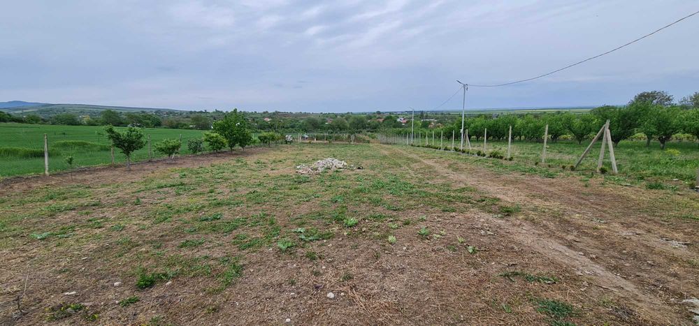 Teren intravilan, pozitie superba - 3800m2 cu Utilitati