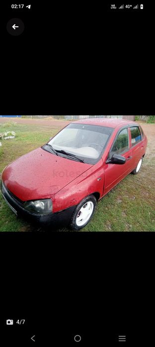 Калина хорошо состоянии возможно обмен