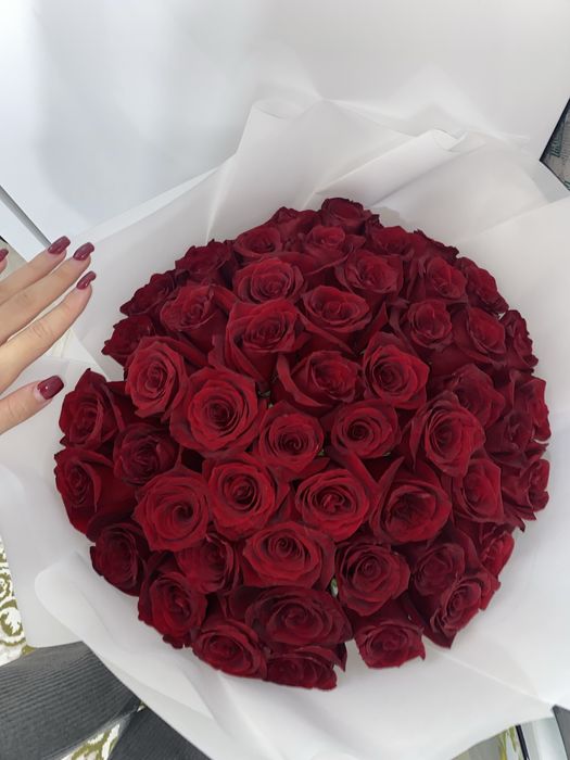 Цветы, красная роза 51 штук продается г.Актобе
