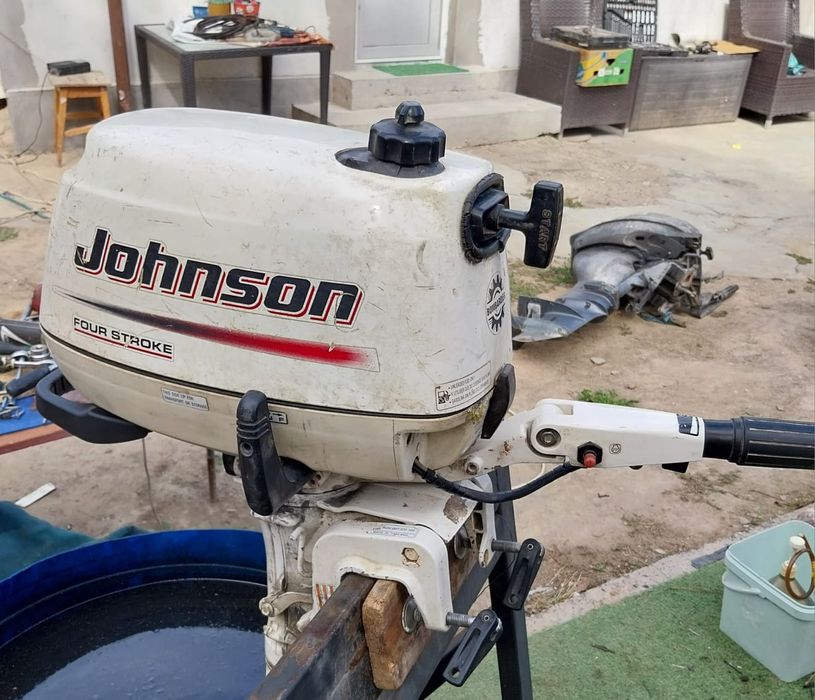 Barcă Pescăruș și motor Johnson