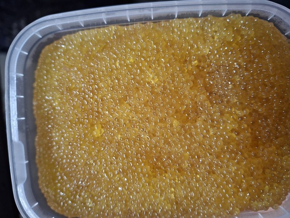 Продам щучья икра