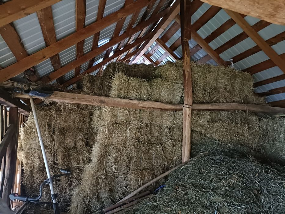 Vând baloți de fan