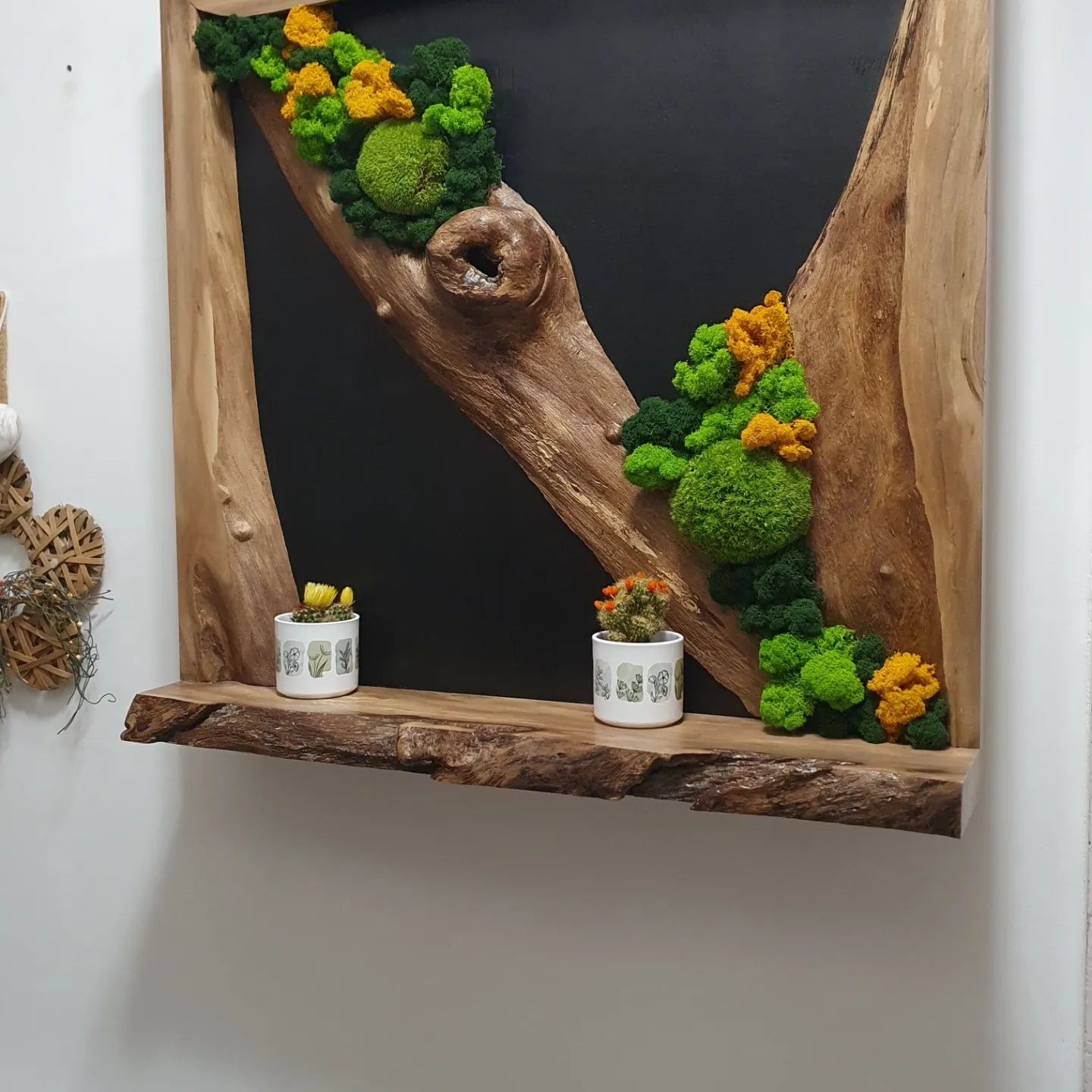 Tablou decorativ cu licheni si lemn de nuc natural și creativ