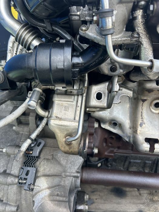 Răcitor de gaze Ford Focus 4 2.0 Tdci 2019