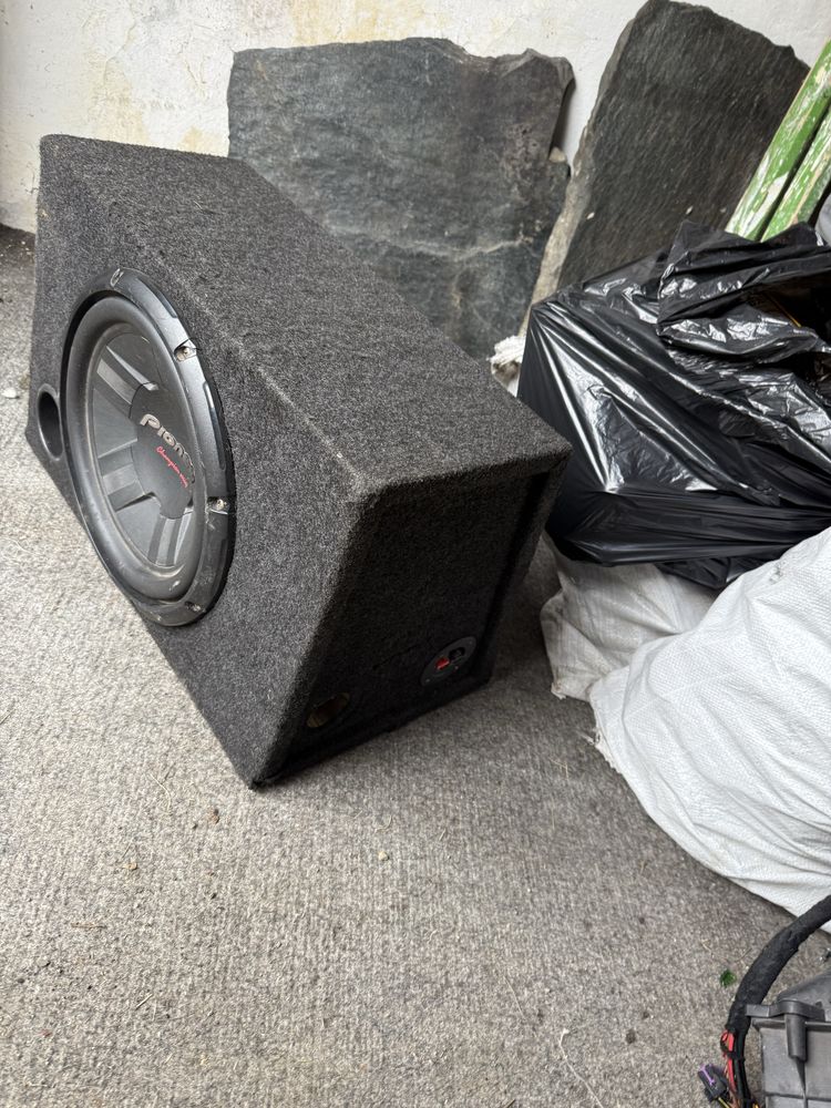 Pioneer Shampion 12