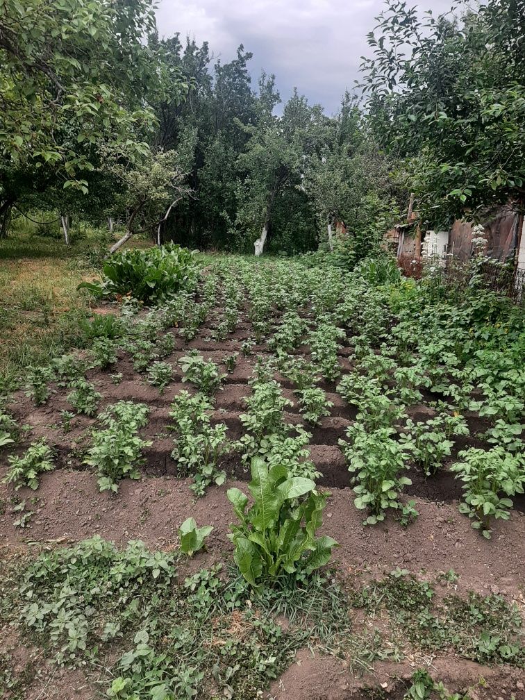 Срочно,продам дачу в городе  Текели, на Гэсе,договарная. Уступки будет