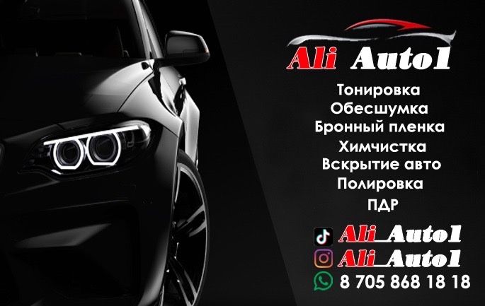 тонировка пдр обесшумка бронниплеонка