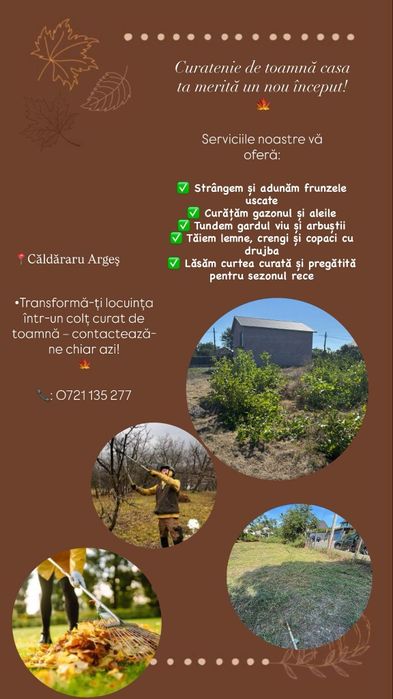 Curatenie de toamna.