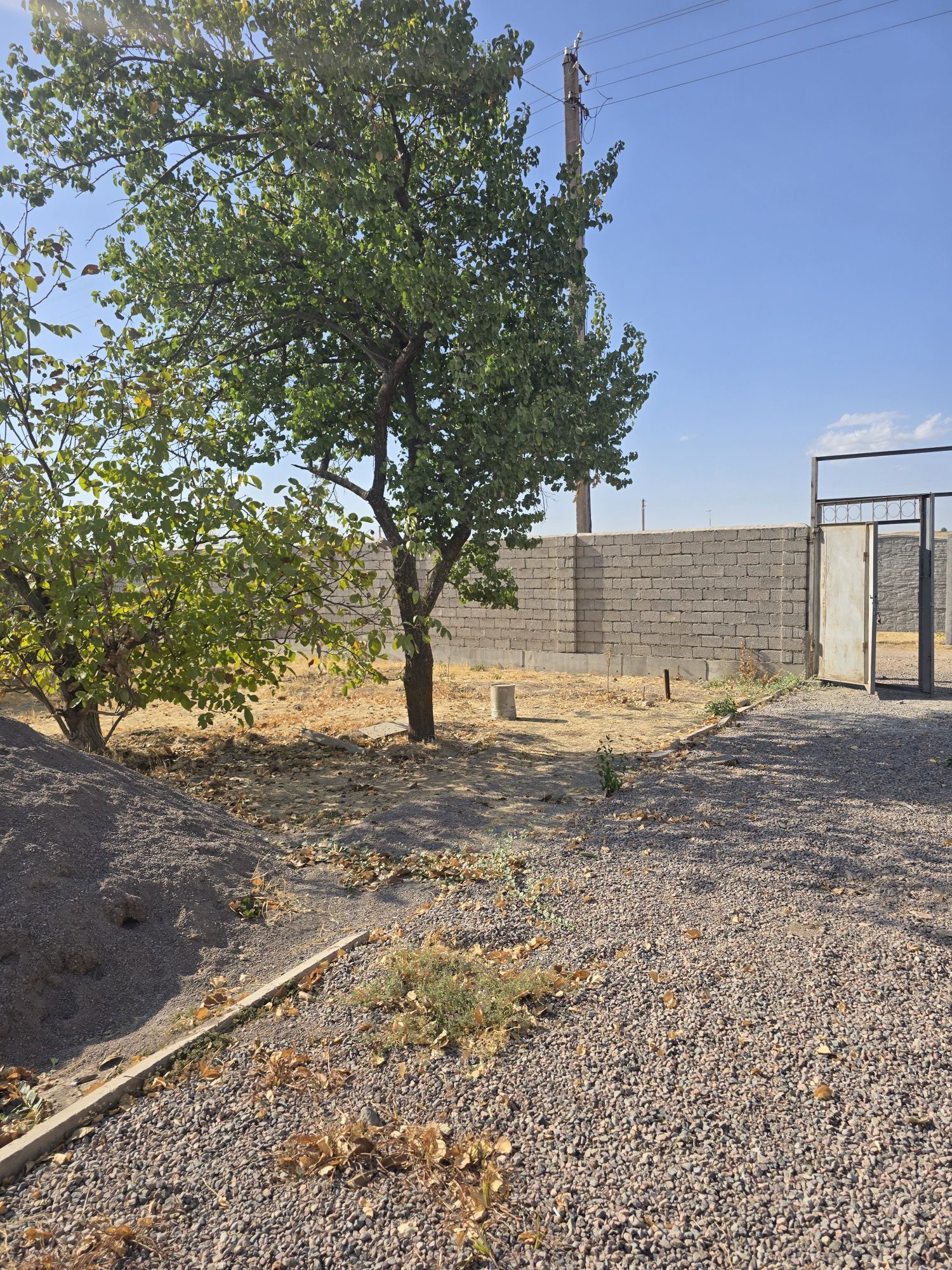 Parkent Dacha 12 sotix kadastr bor
