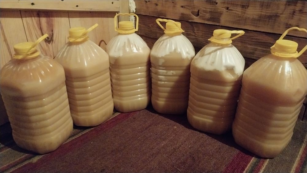 Продам мед Зыряновского района