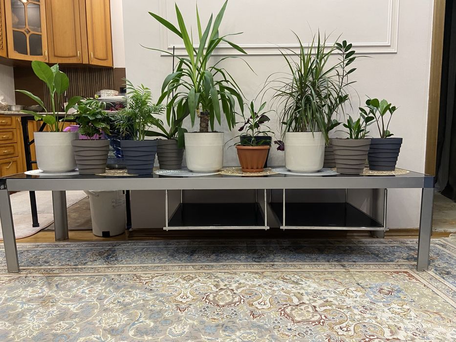 Подставка под ТВ  вме те с цветами,куплено за 300 тыс ,Италия