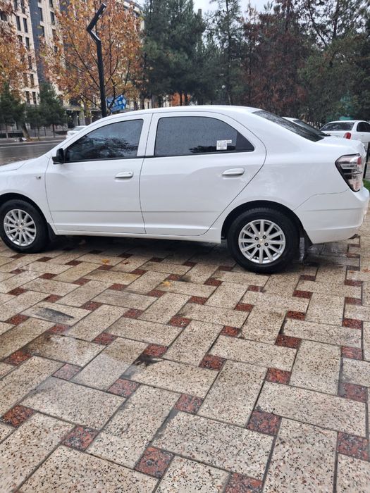 Pazitsiya 2 yili 2018