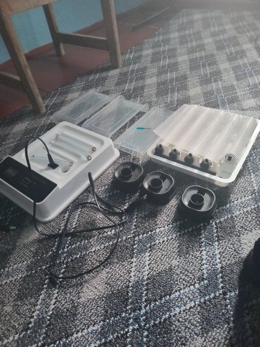 Сотилади  инкубатор