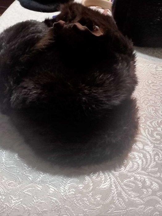 зимняя шапка ушанка.цвет черный мех из кролика.