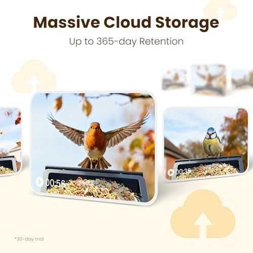 Нова Смарт хранилка за птици с AI разпознаване 2.5K камера за открито