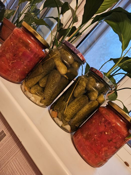 СОЛЕНИЯ(огурцы, лече,кобра,капуста)