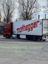Manager transport marfa