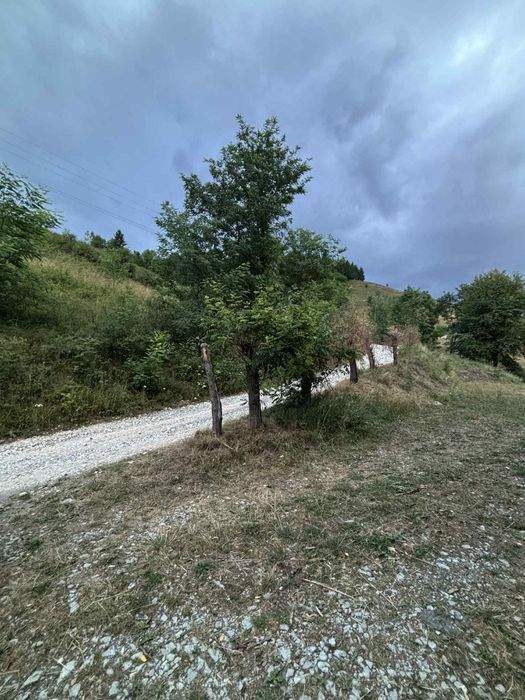 Teren intravilan de vânzare – Câmpeni -zona Boncești,  județul Alba,