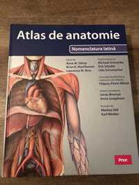 Vand atlas anatomie nou