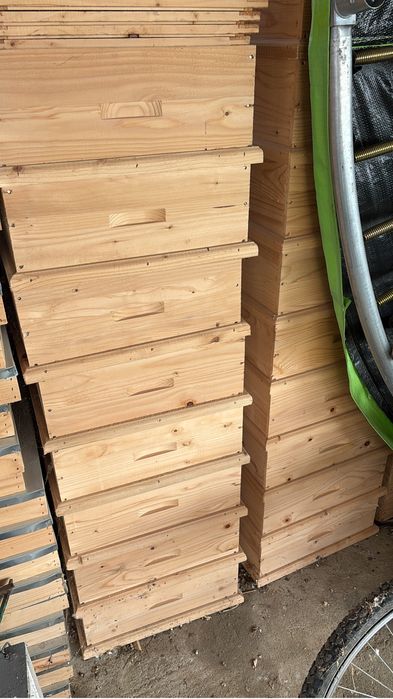 Vand cuti stupi albine