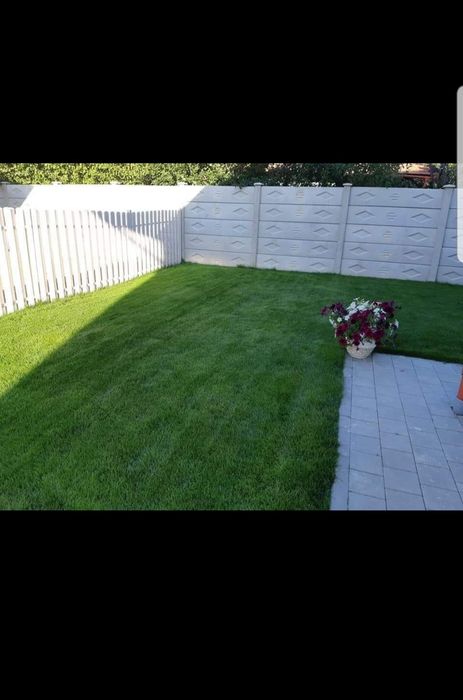 Gazon rulou sport/ calitate extra /asiguram transport și montaj