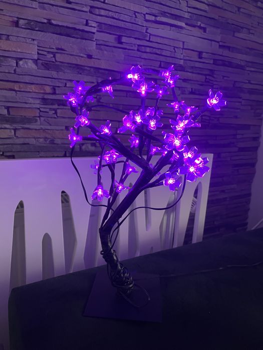 Copacel luminos, culoare mov