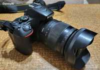Nikon D5600/Sigma 18-200 1:3,5-6,3DC