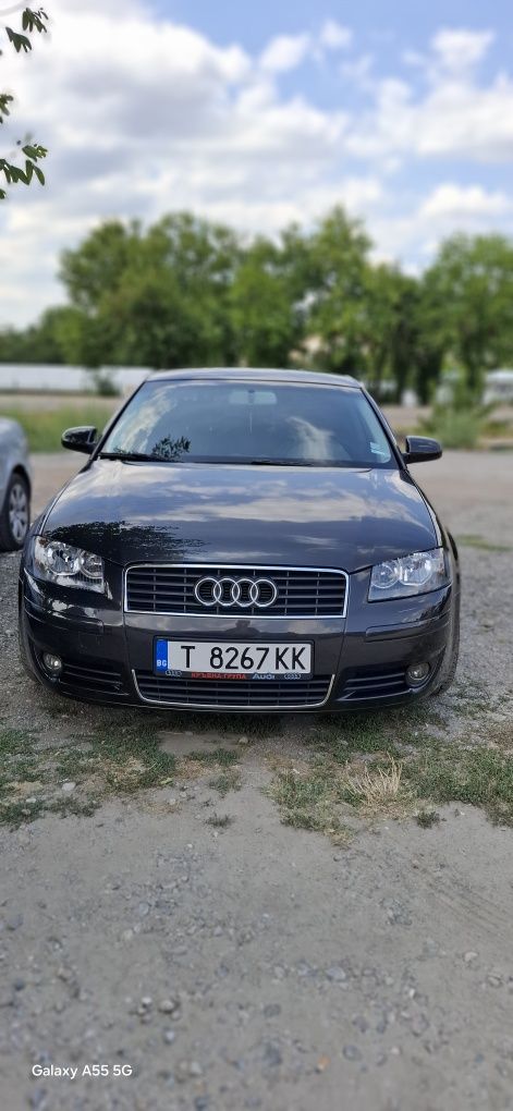 Audi a3 8p 1.9 TDI