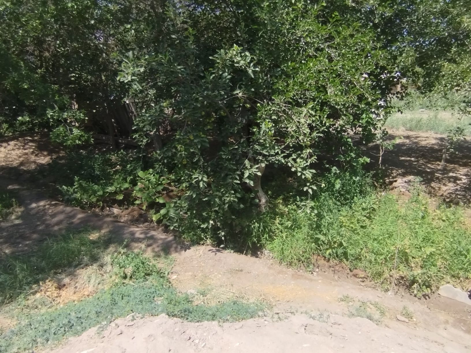 Kvartira sotiladi,yangiarik shaharchasinda.parkni yonida.