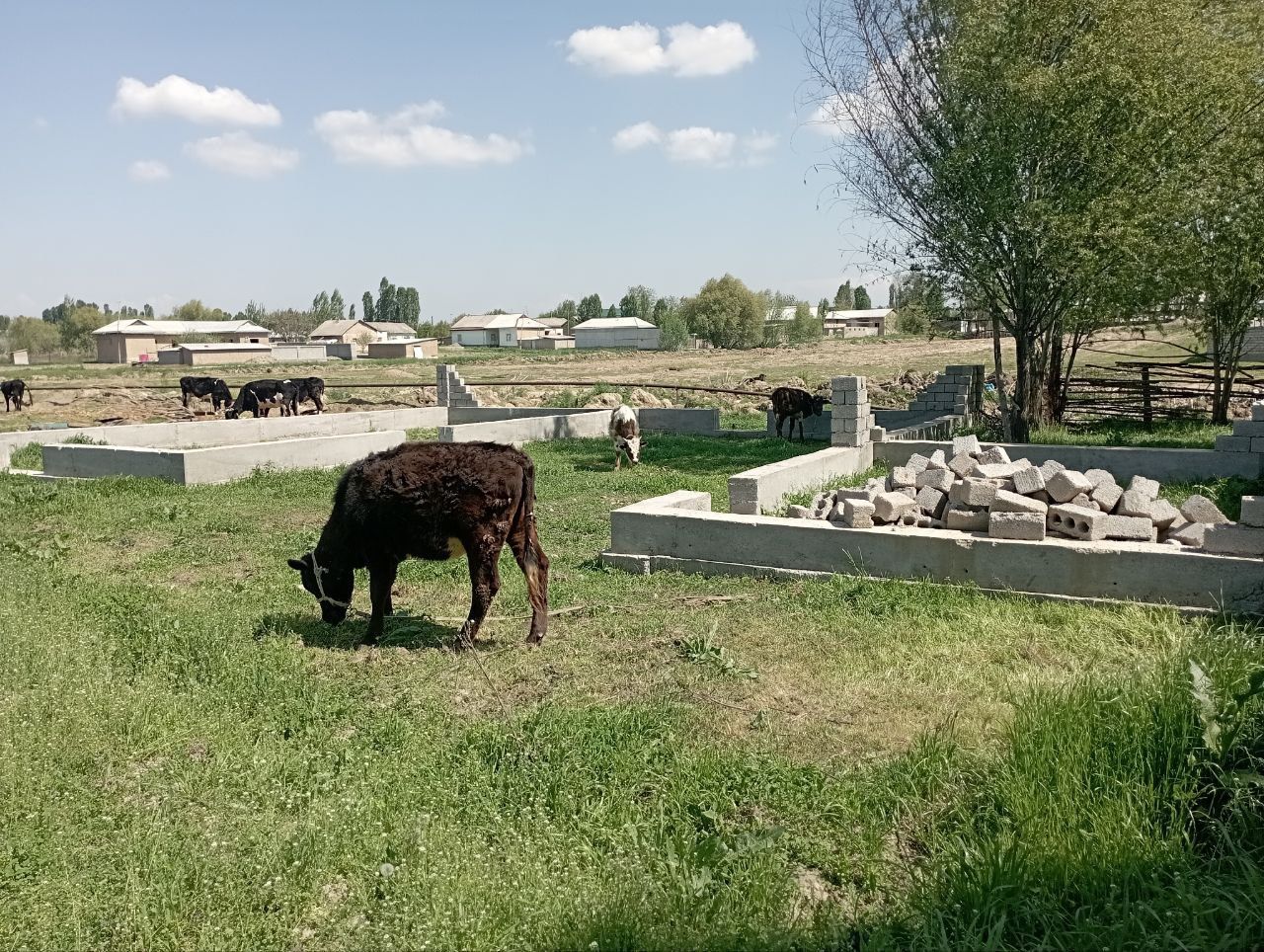 Uy sotiladi yer sotiladi uchastka Toshkent v yangiyol tuman islohot