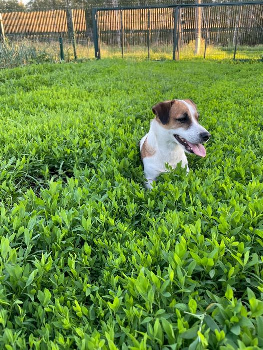 Молодой парень ищет спутницу