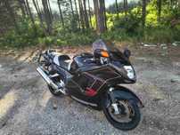 Honda CBR 1100 XX