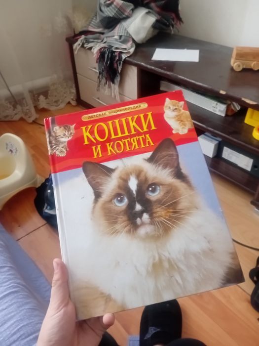 Книга про Кошек и Котят
