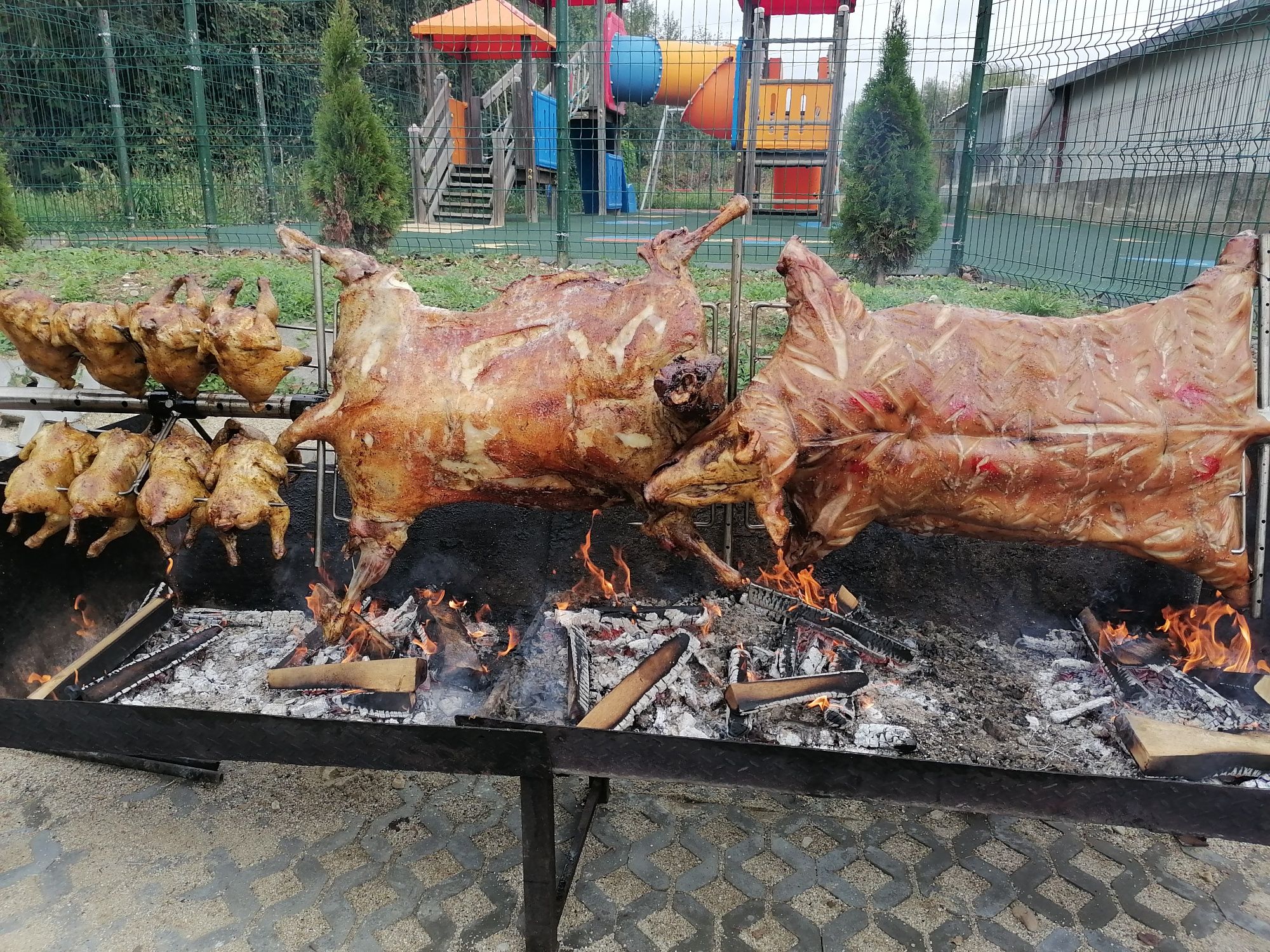 Bunătăți la proțap