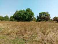 Teren intravilan 836 mp , deschidere 24 ml , zona linistita