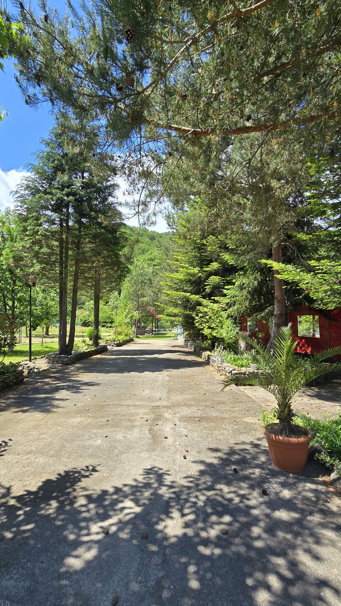 Restaurant-Pensiune La Danilă la poalele munților Padeș