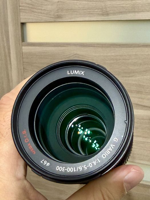 Panasonic Lumix G Vario 100-300mm f/4-5.6 Mega O.I.S. MFT