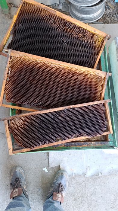 Просьба внимательно читайте объявление Рамки для пчел ,рам детали,  ,