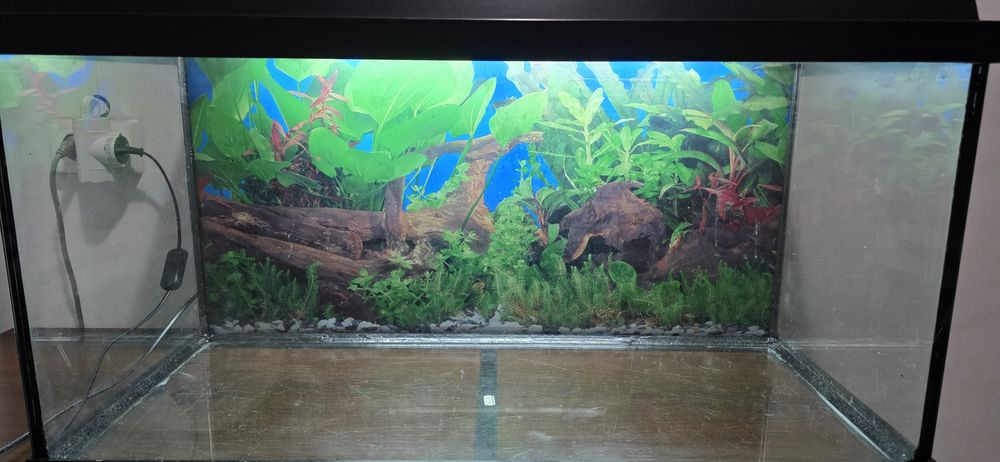 Vand Acvariu 112 l cu lampa led