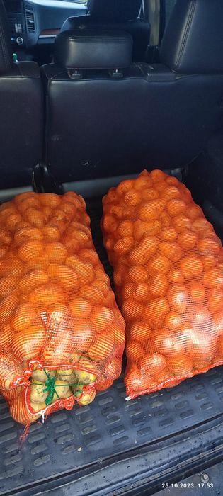 Доставка картофеля оптом и в розницу