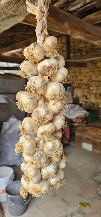 Български чесън плетен на венец