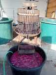 Struguri moldova si  produse din struguri
