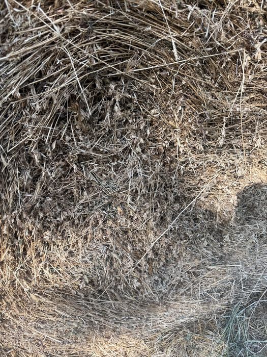 Vand baloti de lucerna