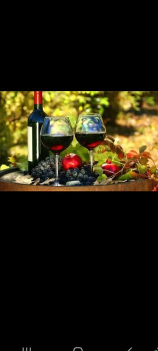 Avem struguri de vin de vrancea Producție 2025