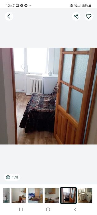 Сампи,Культуры инсит.Студентке .1/4/4