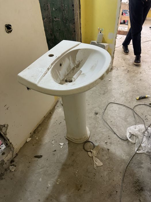 Раковина тюльпан