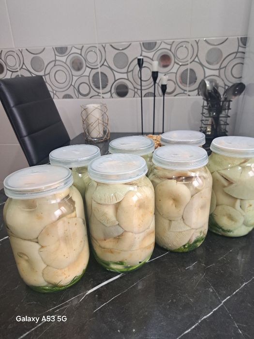 Продам грибы грузди каркаралинские